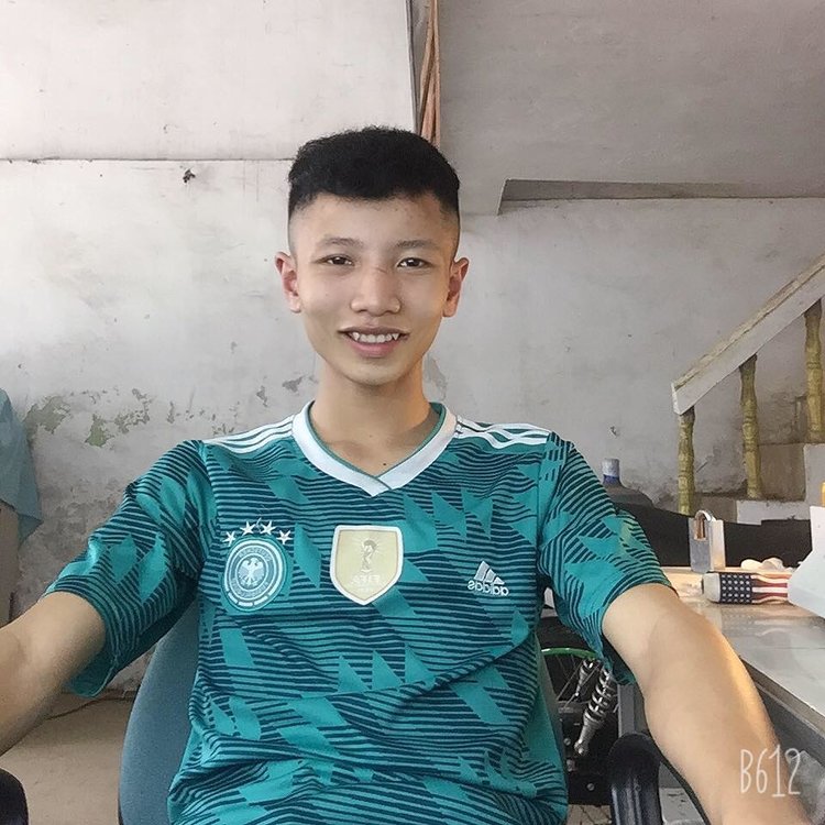 Дерево Йенбай Вьетнам