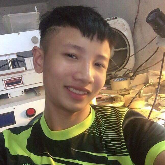 Дерево Йенбай Вьетнам