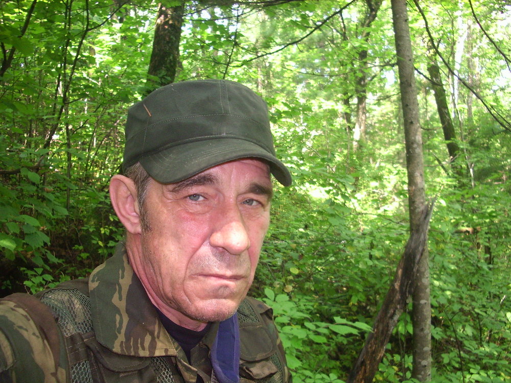 Жабер жабров. Дыхательная система костных рыб схема. Дыхательная система костных рыб. Дыхательная система рыб жабры. Строение жабр костистых рыб.