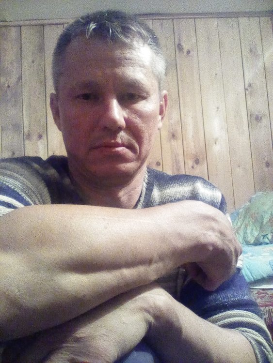 Андрей Новиков, 39 years old, Russian Federation, Kinel, would like to meet a gi