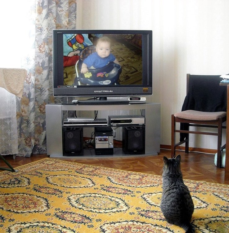 Век домашнем тв. Телевизор дома. Старый телевизор в комнате. Телевизор в домашней обстановке. Обычная комната с телевизором.