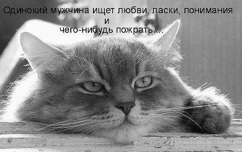 Что нибудь еще. У нее еще что нибудь. Картинки чего нибудь. У нее еще что нибудь. А давай что нибудь к чаю возьмем.