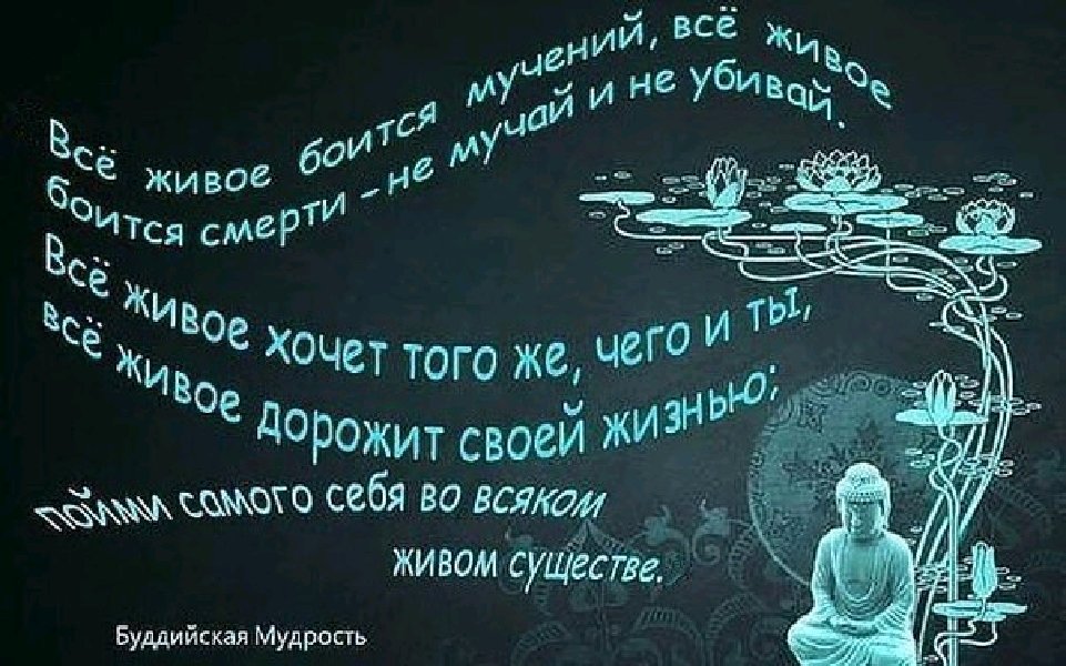 Просветление единственный способ избавиться от страданий. Мудрые буддийские высказывания. Мудрость буддизма. Буддийские мудрости о жизни. Буддийская мудрость цитаты афоризмы.